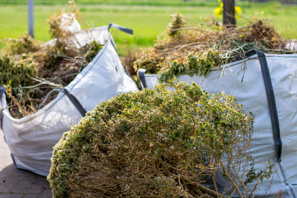 Best Shed Removal  in Seward, NE